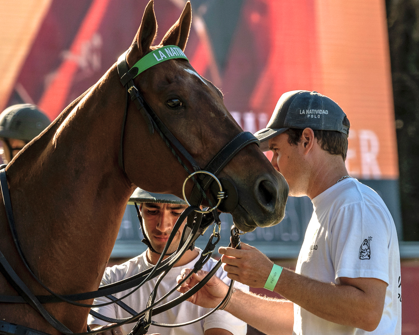 The Role of Grooms in Professional Polo