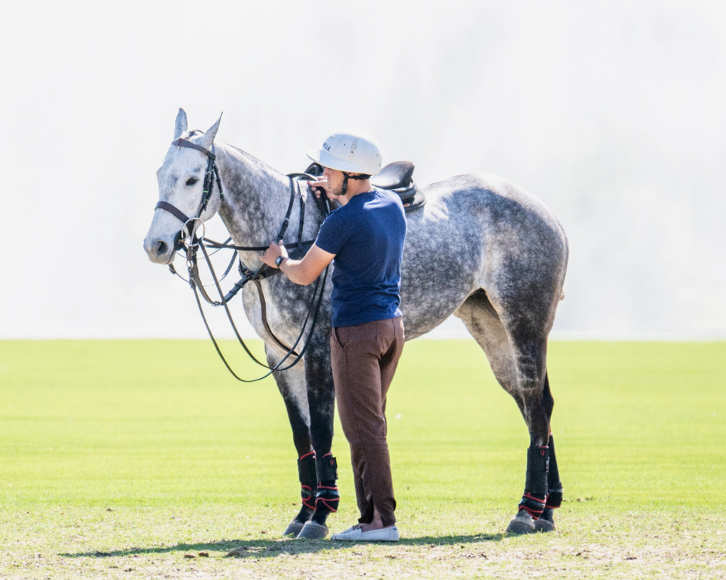 Honouring the Unsung Heroes of Polo: Veterinarian’s Day