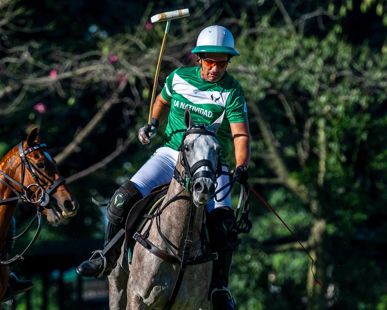 Polo in La Pampa: How the Year Starts at Copa La Natividad in Santa Rosa