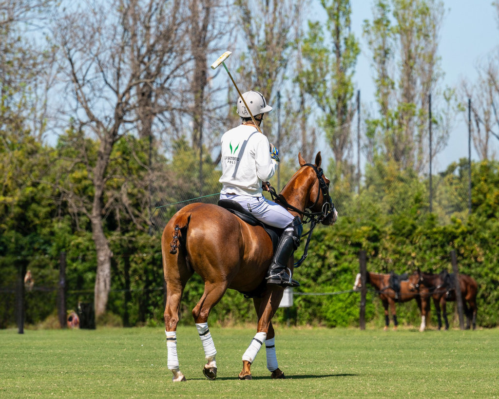 Nuestros Caballos: where Argentina’s equestrian world comes together