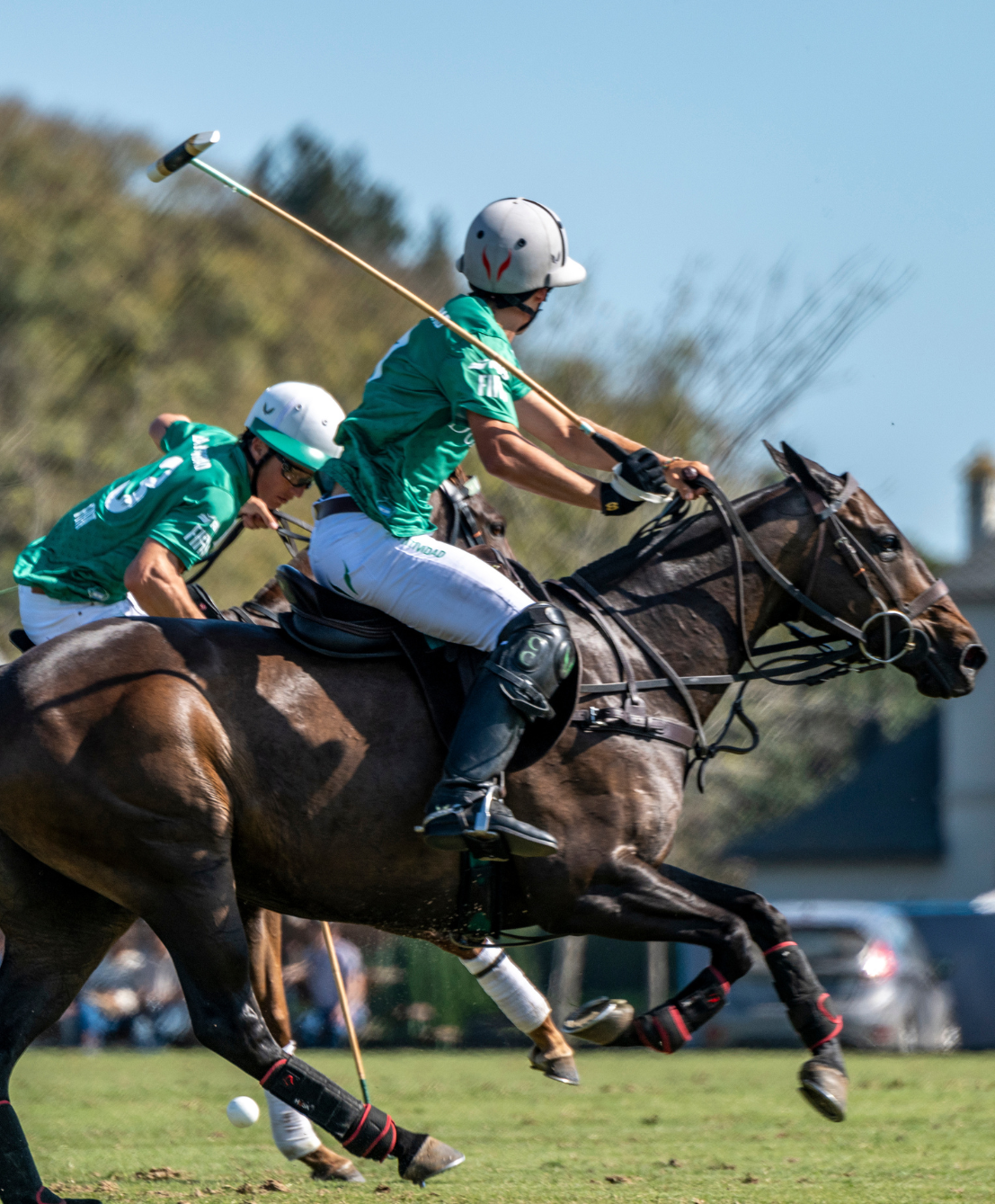 Lee más sobre el artículo Día de la Bandera: Caballos, Polo y Pasión Celeste y Blanca