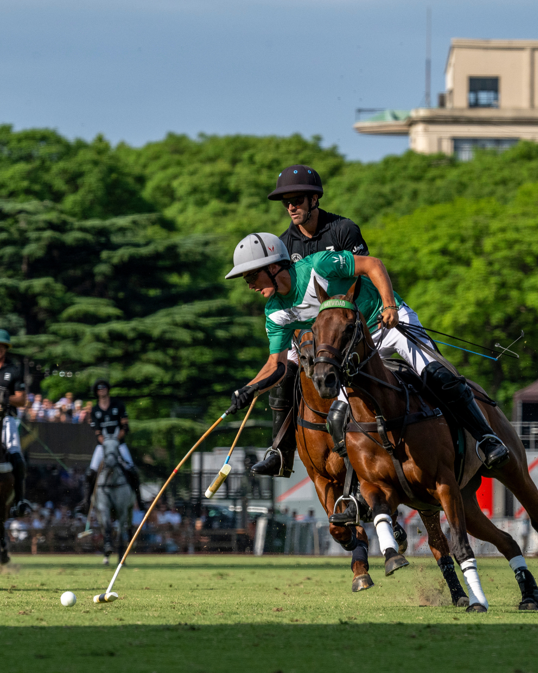 Lee más sobre el artículo Todo sobre el Polo: reglas y dinámica del juego