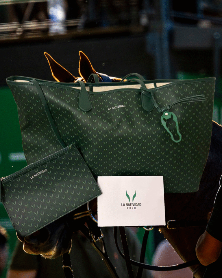 Read more about the article La Natividad Monogram Neverfull Bag: Function, History, and Identity in a Timeless Design