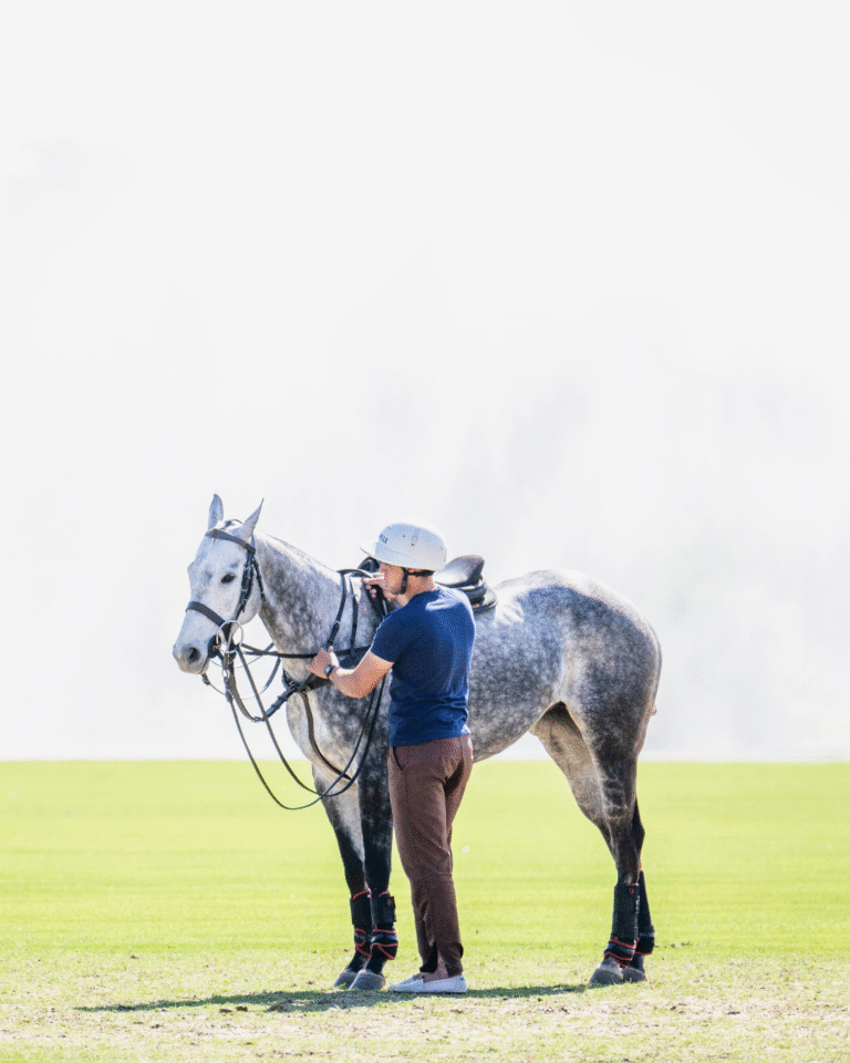 Lee más sobre el artículo Día del Veterinario: Homenaje a los Héroes Silenciosos del Polo