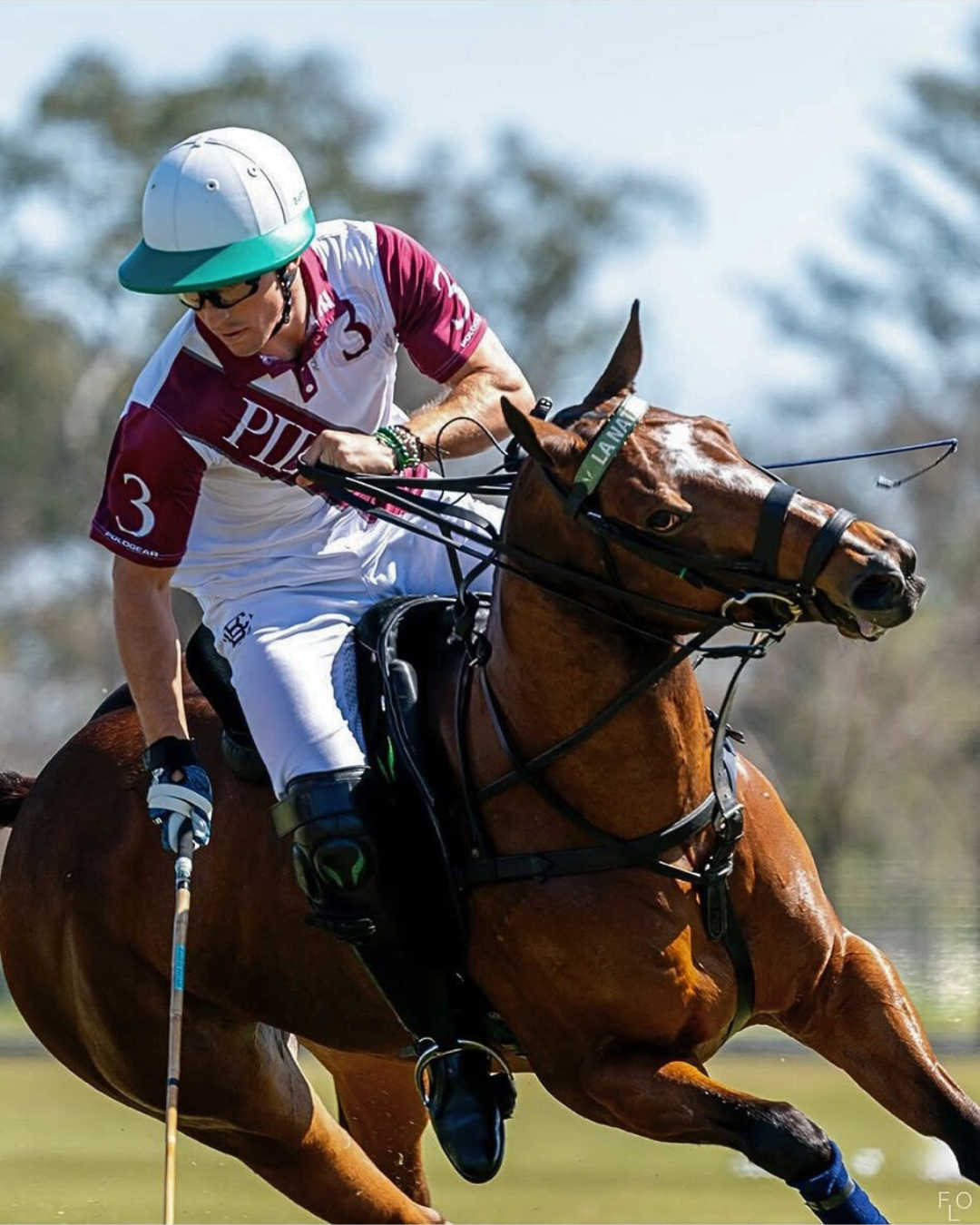 You are currently viewing The 60th Jockey Club Open: Warm-Up to the Triple Crown